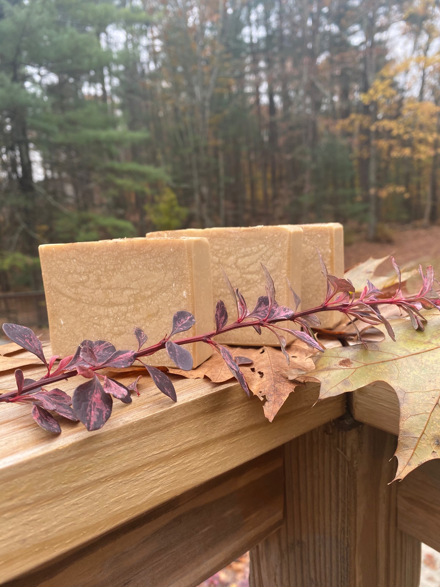 Pumpkin Spice Soap